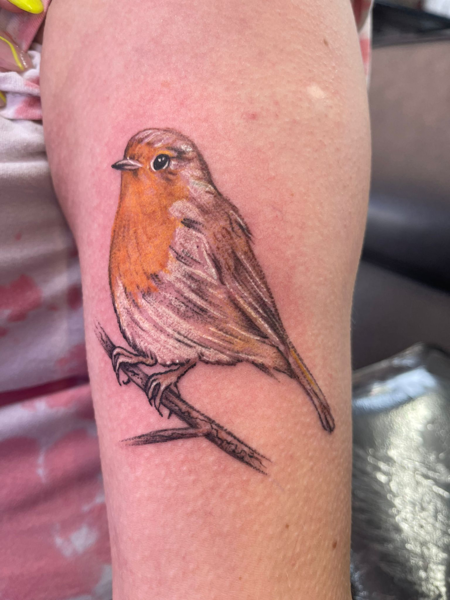 Colour realism robin perched on a branch tattoo