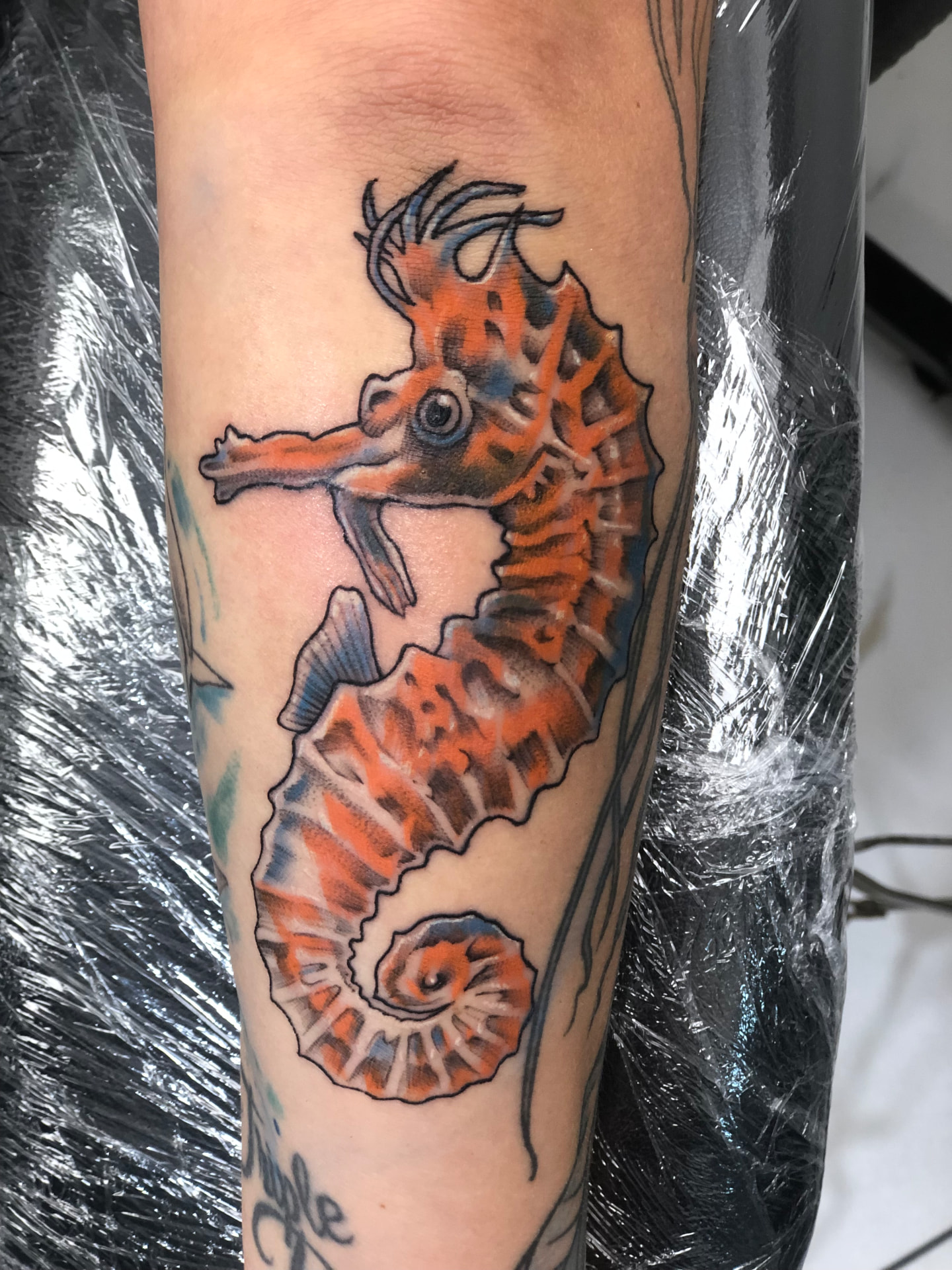 Orange and blue seahorse tattoo on a forearm